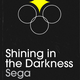 Illustration for article titled A Second Serving Of Classic, Reimagined Game Covers